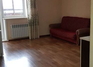 Сдам квартиру студию, 28 м2, Новосибирск, улица Гребенщикова, 3