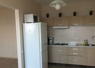 Сдача в аренду 1-комнатной квартиры, 46 м2, Новосибирск, Овражная улица, 5