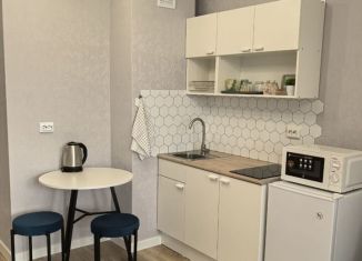 Сдаю в аренду квартиру студию, 23 м2, Екатеринбург, улица Лыжников, 3