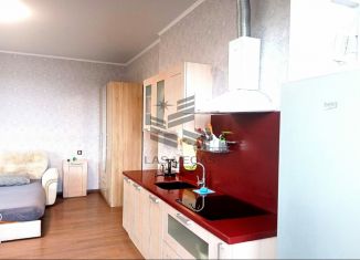 Аренда однокомнатной квартиры, 38 м2, Сочи, микрорайон Приморье, Курортный проспект, 95/53