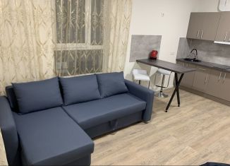 Сдаю квартиру студию, 27 м2, Люберцы, улица Камова, 3к2, ЖК Люберцы 2020