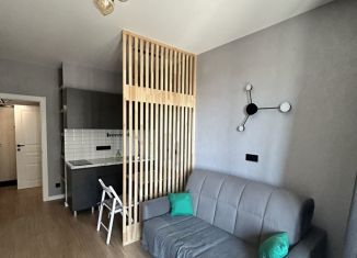 Квартира в аренду студия, 22 м2, Санкт-Петербург, Русановская улица, 24