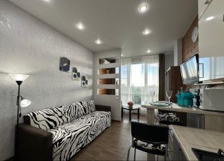 Сдается в аренду квартира студия, 25 м2, Сочи, Садовая улица, 73, микрорайон Черемушки