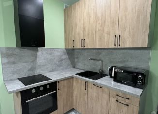 Сдается 1-комнатная квартира, 37.1 м2, Кингисепп, Крикковское шоссе, 32