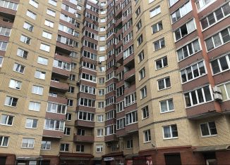 Сдаю 1-комнатную квартиру, 40 м2, Санкт-Петербург, улица Ивана Фомина, 7к3, Выборгский район