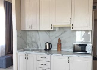 Сдаю квартиру студию, 30 м2, Сочи, Садовая улица, 68А, микрорайон Черемушки