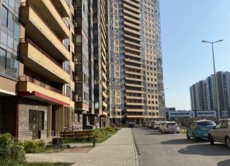 Сдаю в аренду квартиру студию, 25.7 м2, Санкт-Петербург, Русановская улица, 18к8, метро Обухово