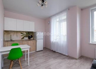 Продам квартиру студию, 24 м2, Новосибирск, улица Петухова, 162