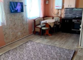 Сдам таунхаус, 70 м2, Татарстан, Советская улица, 1