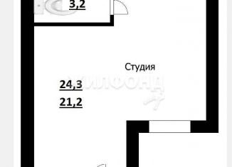 Квартира на продажу студия, 24.3 м2, Новосибирск, улица Николая Грицюка, 1