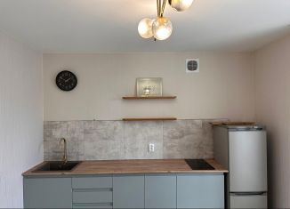 Сдается в аренду 1-ком. квартира, 42 м2, Республика Башкортостан, улица Пархоменко, 151/1