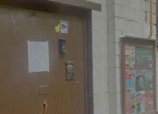 Продаю однокомнатную квартиру, 30.1 м2, Москва, Кусковская улица, 23к3, ВАО