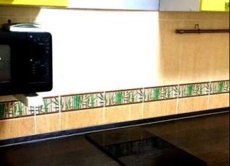 Аренда 1-комнатной квартиры, 34 м2, Новосибирск, улица В. Высоцкого, 54, Октябрьский район