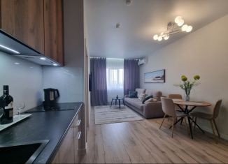 Аренда 2-ком. квартиры, 46 м2, Тольятти, проспект Степана Разина, 16В