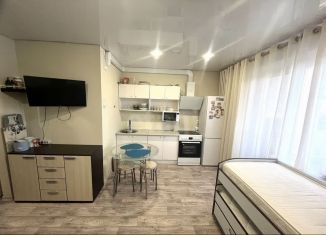 Продам квартиру студию, 24 м2, Миасс, улица Богдана Хмельницкого, 50