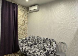 Сдается в аренду квартира студия, 23 м2, Новосибирск, 2-я Обская улица, 154, Октябрьский район