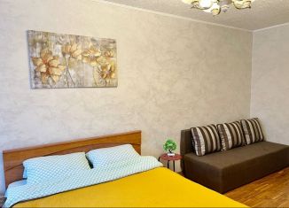 Сдам 2-комнатную квартиру, 60 м2, Санкт-Петербург, проспект Кузнецова, 29к3, Красносельский район