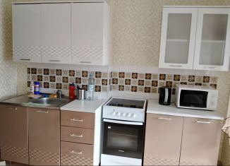 Однокомнатная квартира в аренду, 38 м2, Омск, Пригородная улица, 23к2, ЖК На Андрианова