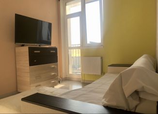 Продается 1-комнатная квартира, 43 м2, Ростов-на-Дону, Соборный переулок, 98