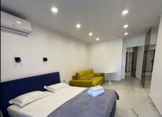 Сдается однокомнатная квартира, 50 м2, Сочи, улица Пирогова, 30