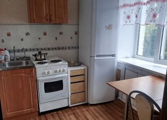 Сдается в аренду 1-ком. квартира, 29 м2, Новосибирск, Народная улица, 40, метро Заельцовская