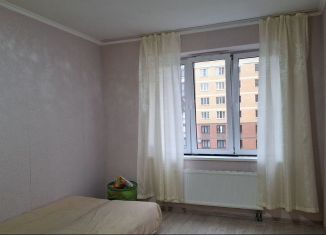 Сдаю однокомнатную квартиру, 66 м2, Санкт-Петербург, Дизельный проезд