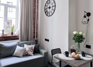 Квартира в аренду студия, 20 м2, Санкт-Петербург, Суворовский проспект, 47