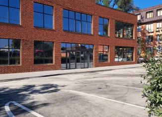 Сдача в аренду помещения свободного назначения, 100 м2, Ростов-на-Дону, улица Ерёменко, 9/49