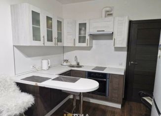 Квартира на продажу студия, 24.2 м2, Мурино, улица Шувалова, 27/7, ЖК Гринландия-2