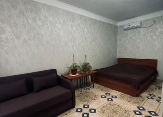 Сдаю в аренду однокомнатную квартиру, 25 м2, село Раздольное, СНТ Оазис, 133