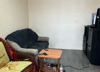 Продается 1-комнатная квартира, 30.1 м2, Чудово, улица Большевиков, 24