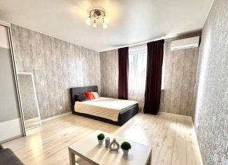 1-комнатная квартира в аренду, 47.9 м2, Казань, Спартаковская улица, 84к1