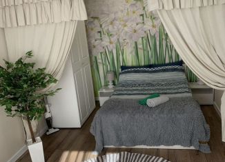 Сдается квартира студия, 28 м2, Калуга, улица Максима Горького, 61