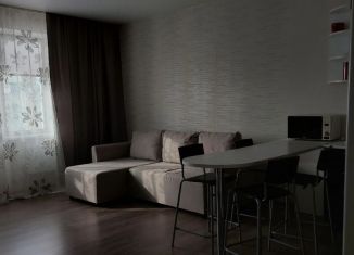 Аренда квартиры студии, 33 м2, Новосибирск, улица Татьяны Снежиной, 39/1, Октябрьский район