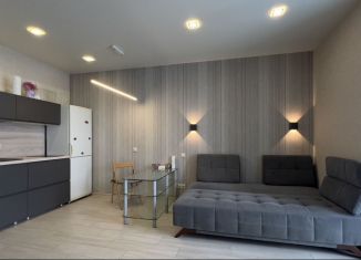 Аренда однокомнатной квартиры, 30 м2, Казань, улица Азата Аббасова, 7