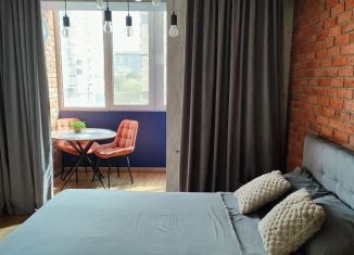 Квартира в аренду студия, 28 м2, Ростов-на-Дону, улица Нансена, 103/1/4