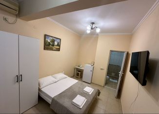 Сдам в аренду комнату, 15 м2, Сочи, улица Мира, 21/1, микрорайон Центральный