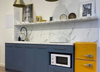 Сдается в аренду квартира студия, 30 м2, Ростов-на-Дону, Береговая улица, 6