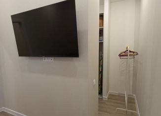 Сдача в аренду 1-комнатной квартиры, 48 м2, Казань, улица Абубекира Терегулова, 10А