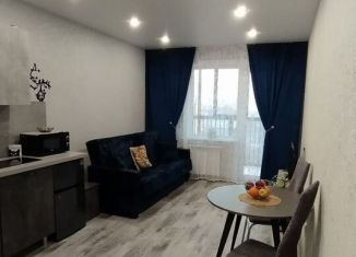 Сдача в аренду однокомнатной квартиры, 42 м2, Новосибирск, улица Коминтерна, 130, Дзержинский район