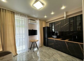 Сдается в аренду 1-ком. квартира, 30 м2, Сочи, Юртовский переулок, 3Ак2
