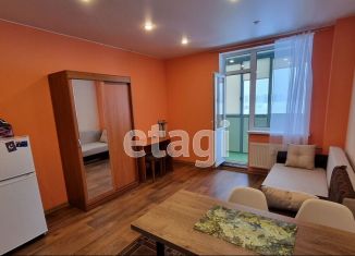 Продажа квартиры студии, 23.4 м2, Мурино, Петровский бульвар, 14к5, ЖК Краски Лета