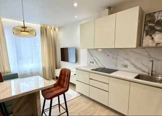 Продам однокомнатную квартиру, 43.2 м2, Казань, улица Николая Ершова, 65В