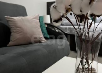 Сдается в аренду однокомнатная квартира, 30 м2, Ярославль, улица Володарского, 15