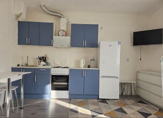 Продается квартира студия, 26.2 м2, Санкт-Петербург, Русановская улица, 18к8