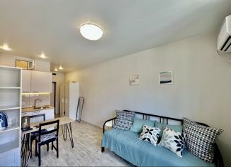 Аренда квартиры студии, 25 м2, село Краевско-Армянское, Мостовой переулок, 20А/1