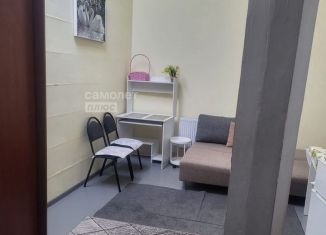 Сдаю квартиру студию, 23 м2, деревня Бородино, Варшавское шоссе, 70, ЖК Европа