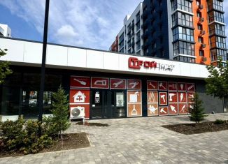 Продаю помещение свободного назначения, 247.6 м2, Краснодарский край, улица имени Б.С. Кудухова, 1к1