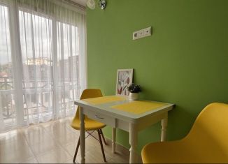 Квартира в аренду студия, 25 м2, Сочи, Целинная улица, 8Б