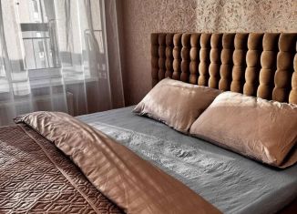 Сдача в аренду однокомнатной квартиры, 38 м2, Воронеж, улица Лётчика Колесниченко, 65А